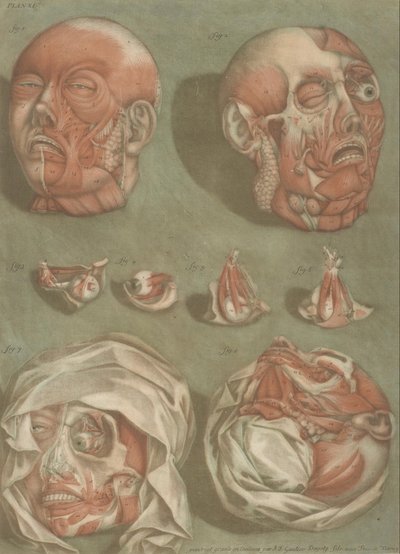 Plate 11, Studies of Heads and Eyes by Arnauld Eloi Gautier DAgoty